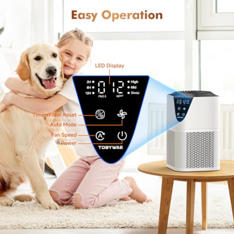 Air Purifiers for Home Large R - Home Fragrance Large ulasan dan harga
