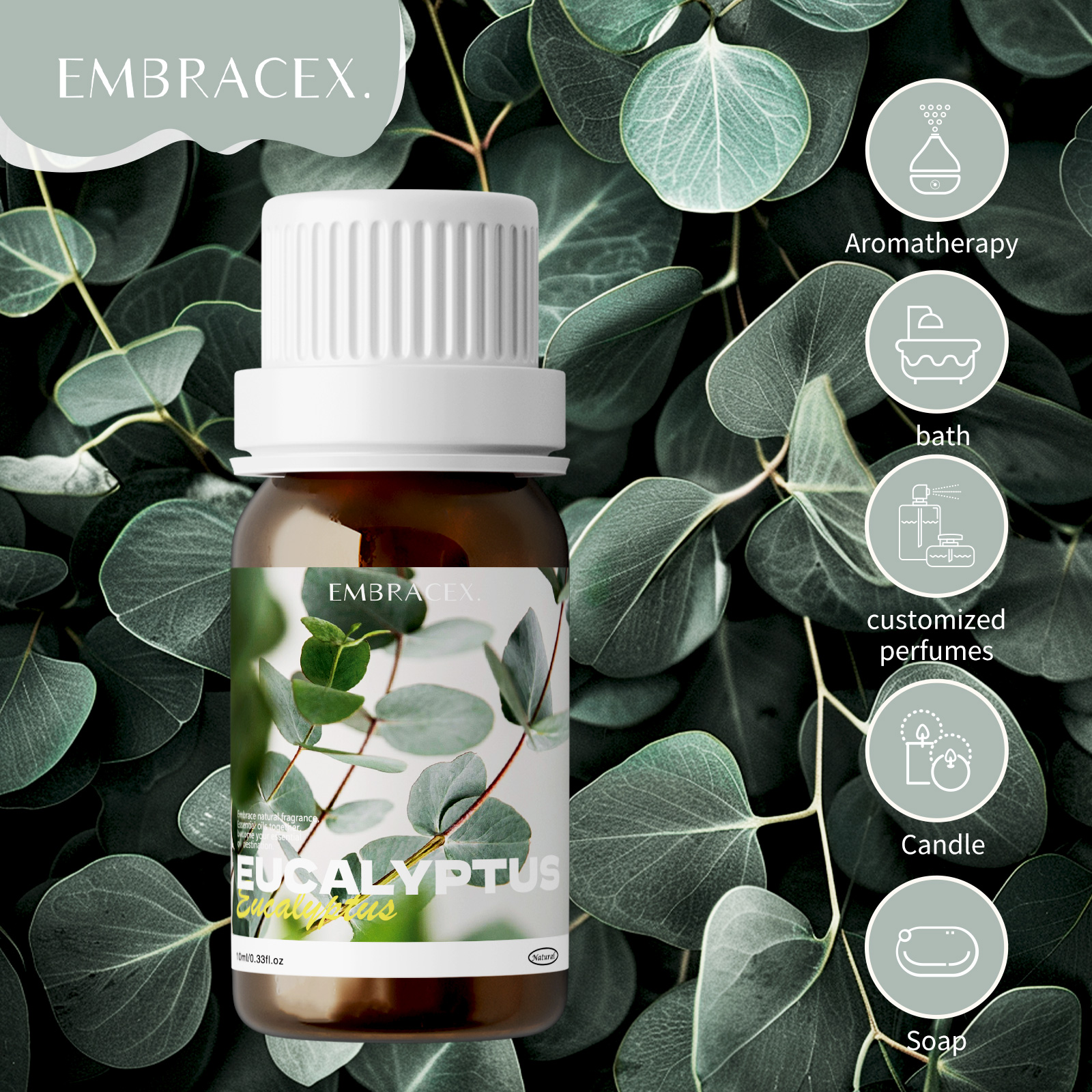 Pure Eucalyptus Essential Oils - Home Fragrance Eucalyptus ulasan dan harga