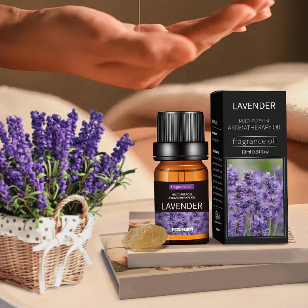 10mL Aromatherapy Essential Oi - Essential Oil Blend ulasan dan harga