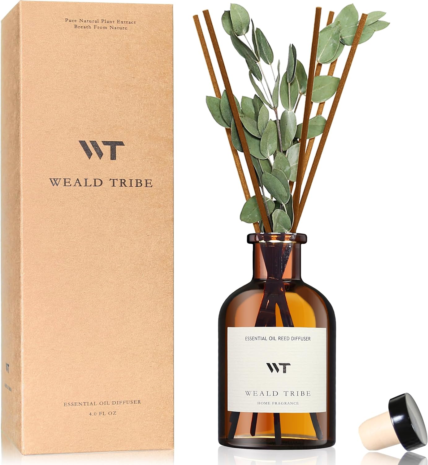 Eucalyptus & Lavender Reed Dif - Home Fragrance Eucalyptus ulasan dan harga