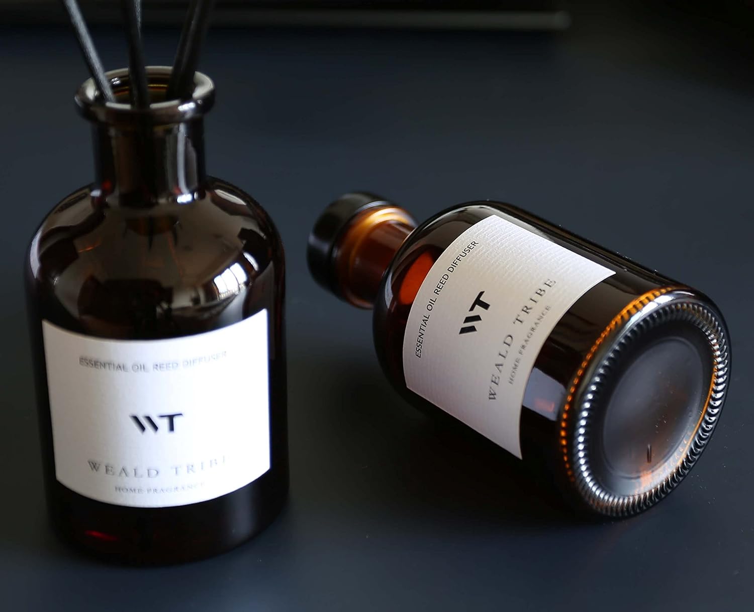 Eucalyptus & Lavender Reed Dif - Home Fragrance Eucalyptus ulasan dan harga