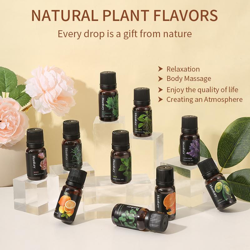 12 Flavors 10ml Essential Oils - Home Fragrance Aroma ulasan dan harga