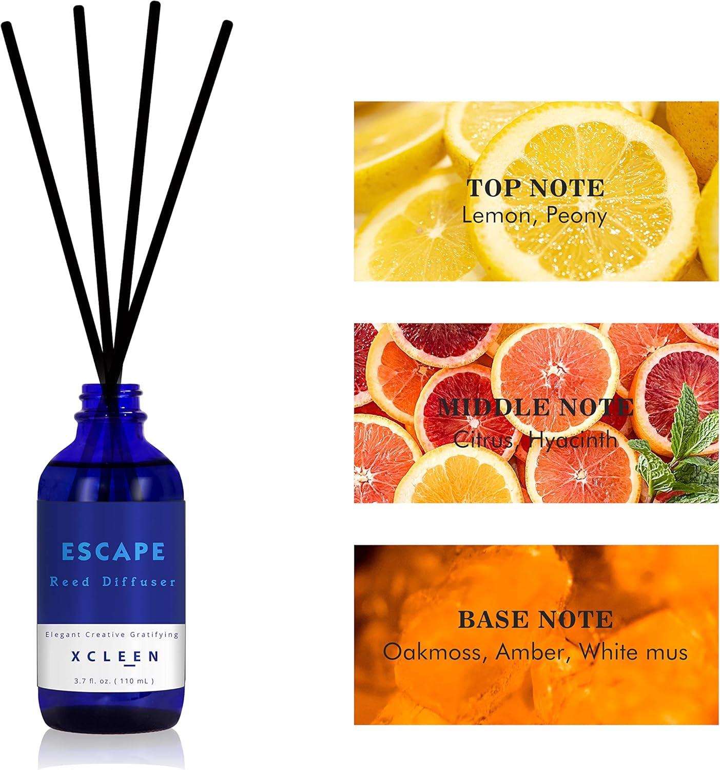 Reed Diffuser Set 3.7oz, Home  - In Home Fragrance Products ulasan dan harga