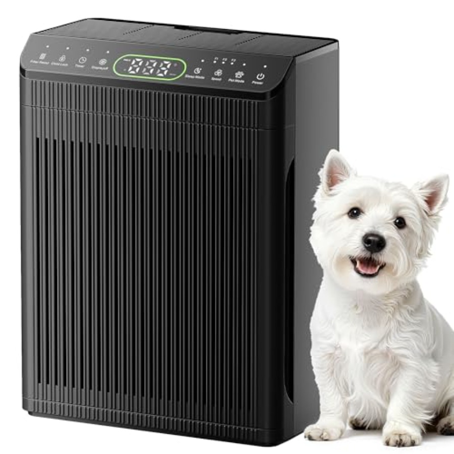 Air Purifiers for Home Large R - Home Fragrance Large ulasan dan harga