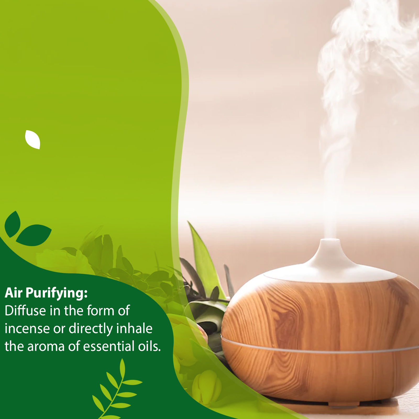 PHATOIL 1000ml Natural Aromath - Home Fragrance Eucalyptus ulasan dan harga