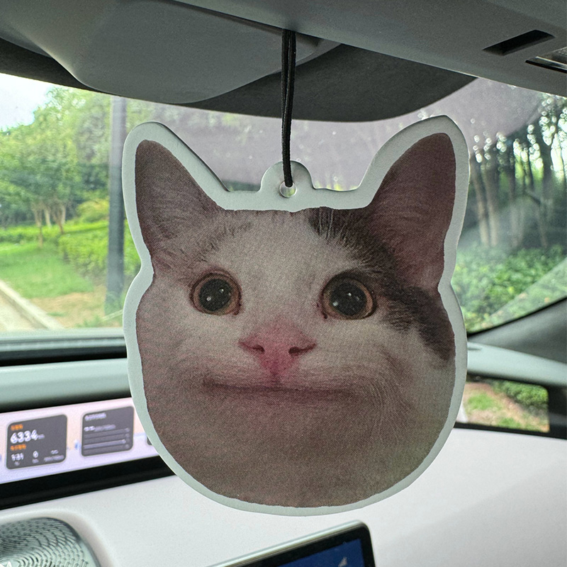 Sad Cat Emoticon Pack Hilton ( - Home Fragrance Luxury ulasan dan harga